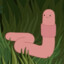 WiggleWorm