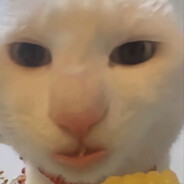 理塘最強純真丁一郎