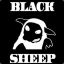 [83rd]Blacksheep