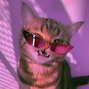 ♥ ʕ •ᴥ•ʔ ♥