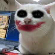 tradeit.gg csgo-skins.com