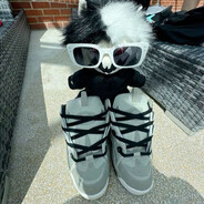 qxc - steam id 76561199502330310