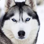 The beast =DDD