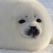 薇尔莉特呜呜呜呜