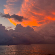 悲伤是爱的代价