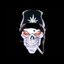 Avatar of Dardo