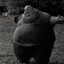 bearer of a fat penis