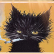 Aspen The Cat Steam avatar