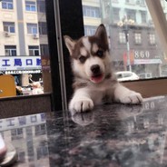 你骂我我就屏蔽你