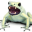 killerfrog12