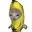 BANANACAT!!!!