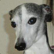 ろんろん