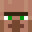 Villager