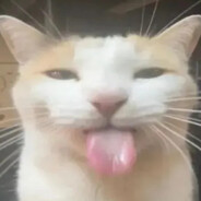 z0rkz - steam id 76561199193522951