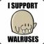 WalrusRid3r