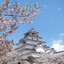 AIZU_SAMURAI