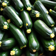 ZUCCHINI