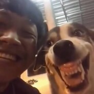 我的很大请加我