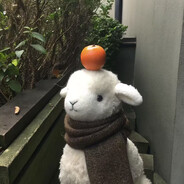 乌龙茶不想在炼丹炉玩