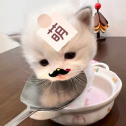 苹什猫