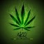 SaTiVa__4:20