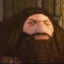 PS1 Hagrid