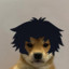 dog pfp