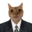 猫雷先森Official