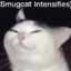 Vkitten