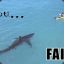 HsK² | - SharK / YOU FAIL ◣_