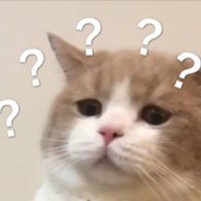 一位不知名的玩家