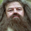 Hagrid