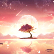 她说她去学技术了