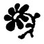 coco jambo