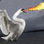 FirebreathingSwan