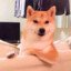 优秀小鬼