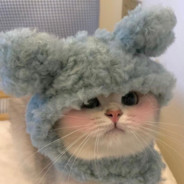 健达奇趣蛋超爱吃