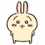Usagi