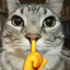 ImHIM's avatar