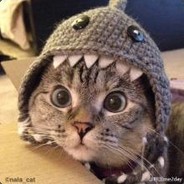 ashua0127/mingxuan0127@