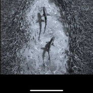 tbt - steam id 76561199823236632