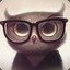 BEARDOWL