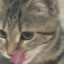 ʙɪʀ