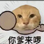 哈基米