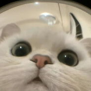 小橘的胡思乱想可以织十三件毛衣