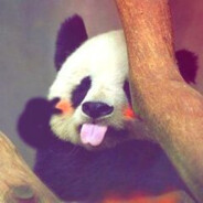 熊猫君official