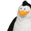 Dark Schneidecker