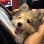 璨