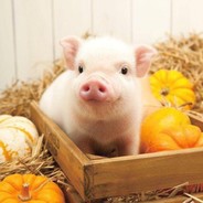 抖音逐天YY1443798026