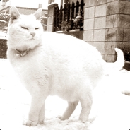 onimuh